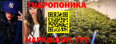 mdpv Анжеро-Судженск