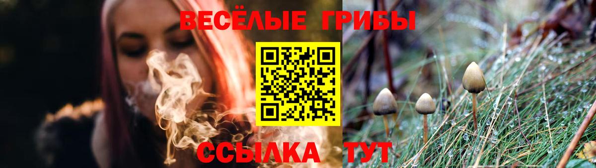 Псилоцибиновые грибы Psilocybine cubensis  Псилоцибиновые грибы ЛСД  Борзя  купить наркотик  Вход с VPN 